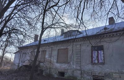 Zámeček na prodej Smaszew, Dwór w Smaszewie, Velkopolské, Pohled zezadu