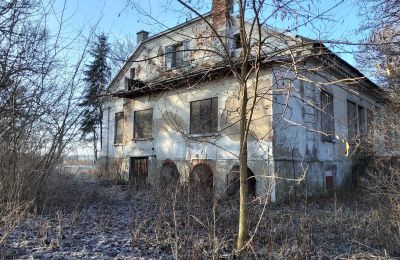 Zámeček na prodej Smaszew, Dwór w Smaszewie, Velkopolské, Boční pohled