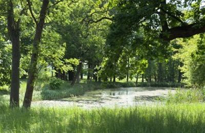 Zámeček na prodej Gierłachowo, Dwór w Gierłachowie 18a, Velkopolské, Foto 33/34