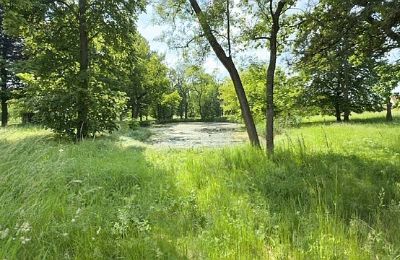 Zámeček na prodej Gierłachowo, Dwór w Gierłachowie 18a, Velkopolské, Foto 34/34