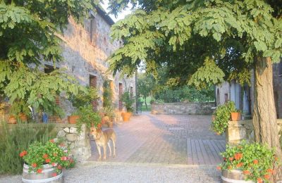 Venkovský dům na prodej Arezzo, Toscana:  RIF2262-lang6#RIF 2262 Blick auf den Hof zwischen Haupthaus und Nebengebäude