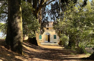 Historická vila na prodej Siena, Toscana:  RIF 2937 Blick auf Eingang