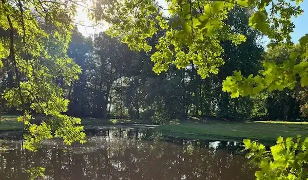 Zámecký park s rybníkem, zámeček Niendorf