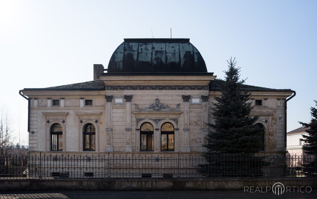 Vila Radonice, Radonice
