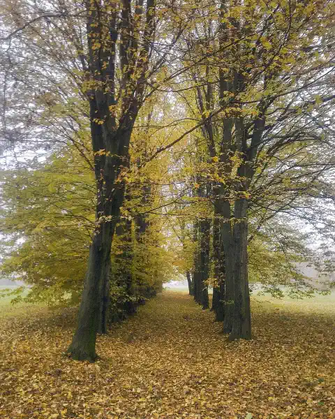 Historický park Nabídky nemovitostí května 2026